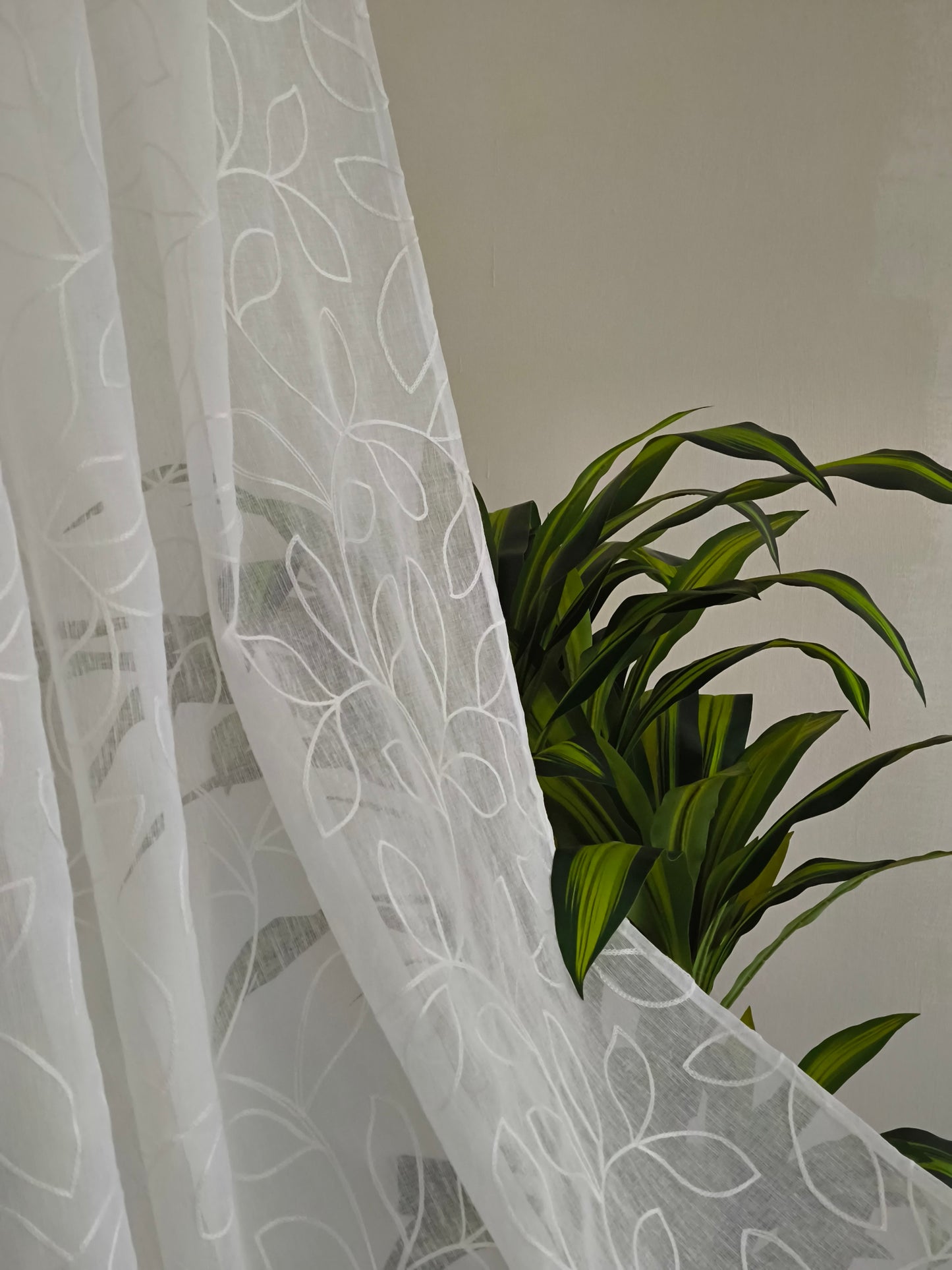 Tenda semitrasparente bianca davanti a una pianta, che lascia filtrare la luce creando un effetto luminoso e arioso.
